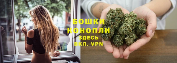 спайс Вуктыл