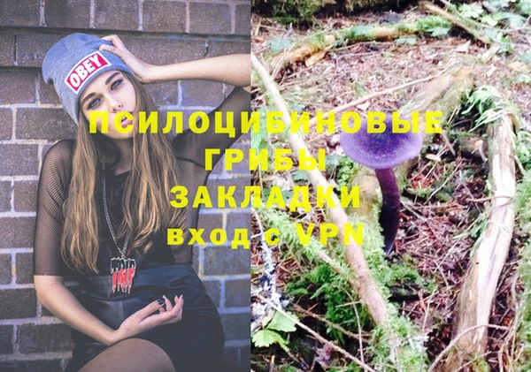 марки nbome Пересвет